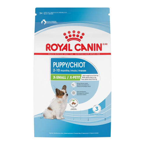 رویال کنین Xsmall puppy