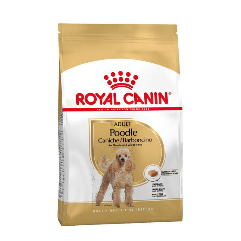 رویال کنین Poodle adult
